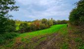 Tocht Stappen Tubeke - Balade à Tubize - Photo 8