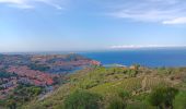 Excursión Senderismo Port-Vendres - les batteries . collioure . fort sant elme . port vendres . cap gros - Photo 17