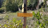 Tour Wandern Saou - un tour de Saou - Photo 1