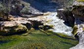 Excursión Senderismo Tourves - SityTrail - Tourves- Le Saut du Cabri - Les gorges du Caramy - Photo 8