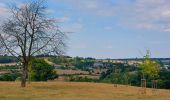 Trail Walking Thimister-Clermont - Along the Berwinne towards Val Dieu - Tourist ballad - Photo 14