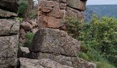 Trail Walking Prévenchères - GORGES DU CHASSEZAC DEPUIS LA GARDE- GUERIN - Photo 10