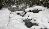 Percorso Racchette da neve Modane - Le plan  - Photo 8