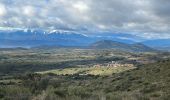 Tocht Stappen Baixas - Boucle Baixas Calce  - Photo 8