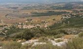 Trail Walking Puyloubier - La Ste Victoire-Citadelle-03-11-21 - Photo 9