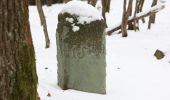 Tour Zu Fuß Großheirath - Steinlegendenweg - Photo 6