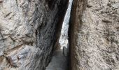 Trail Walking Cortina d'Ampezzo - Cinque Torri via Lago Limedes - Photo 1