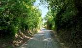 Trail Walking Chaudfontaine - La balade du charbon   - Photo 13