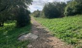 Randonnée Marche Villetelle - Sensei pascal  - Photo 6