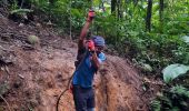 Excursión Senderismo Le Morne-Rouge - Trace des Jésuites  - Photo 15