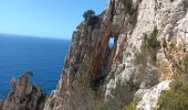 Trail Walking Marseille - Rando Devenson Jacques - Photo 3