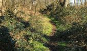 Tocht Stappen Nieuwpoort - Ter duinen - Photo 2