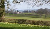 Randonnée A pied Forest of Dean - Daffodil Way - Photo 4