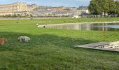 Tocht Stappen Versailles - Plan d’eau des suisses  - Photo 3