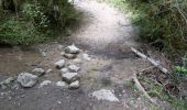 Randonnée Marche Charens - Montagne de Tarsimoure - Charens  - Photo 15