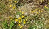 Trail Walking Herbeumont - Mon lit dans l'arbre - Castors - Photo 4