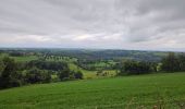 Tour Wandern Dalhem - A la découverte de Neufchâteau 🥾 - Photo 5