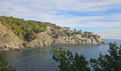 Tocht Stappen Hyères - Presqu'ile de Giens - Photo 13