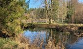 Excursión Senderismo Virton - Cimetière militaire français de Laclaireau  - Photo 5