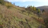 Tour Zu Fuß Bodenwerder - Über die Himckeburg ins romantische Rühler Tal - Photo 6