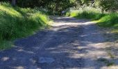 Tocht Stappen Murol - AUTOUR DU LAC CHAMBON  - Photo 6