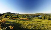 Trail Walking Saint-Saturnin - St_Saturnin_Montagne_Serre - Photo 1