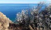 Percorso Marcia Banyuls-sur-Mer - banyuls . coll de gran bau . retour par le littoral  - Photo 10