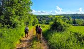 Trail Walking Foulain - Boucle 18 km autour de Foulain - Photo 10