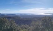 Excursión Senderismo Fréjus - Mont Vinaigre  - Photo 3