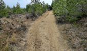 Trail Walking Leucate - leucatr courte - Photo 2