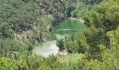 Tocht Stappen Beaurecueil - Sainte Victoire : Barrages de Bimont et Zola - Photo 11