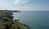 Excursión Senderismo Cancale - Boucle pointe du Grouin Cancale - Photo 11