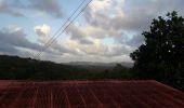 Tour Wandern Le Lamentin - École Gondeau A-fond cacao en boucle  - Photo 12