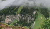 Trail Walking Pralognan-la-Vanoise - Pied du glacier du Genepy - Photo 6