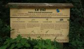 Trail Walking Le Saix - Le Fai - Lac de Peyssier - Photo 4