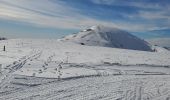 Randonnée Raquettes à neige Selonnet - chabanon selonnet 442m 7.5kms - Photo 4