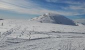 Excursión Raquetas de nieve Selonnet - chabanon selonnet 442m 7.5kms - Photo 4