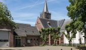 Tocht Te voet Nunspeet - Over Velden en Kampen - Photo 6