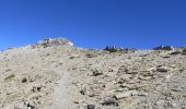 Trail Walking Uvernet-Fours - Cimet - Photo 4