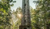 Tocht Te voet Weißenbrunn - Frankenwaldsteigla Stübengrabenweg - Photo 8