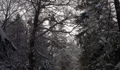 Trail Snowshoes Corrençon-en-Vercors - Vers le Pas Ernadant et ses cabanes - Photo 2