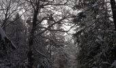 Tour Schneeschuhwandern Corrençon-en-Vercors - Vers le Pas Ernadant et ses cabanes - Photo 2