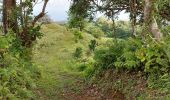 Tour Wandern Le Lorrain - Morne Jacob au Panneau ONF - Photo 11