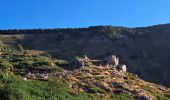 Tour Wandern Dourbies - Dourbies à Camprieu en boucle  - Photo 13