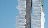 Tour Schneeschuhwandern Saint-Agnan-en-Vercors - Beure - Écondus - Photo 16