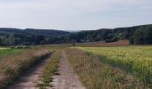 Trail Walking Bastogne - Lutrebois 030622 - Photo 16