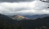 Tocht Stappen Combes - Le Fraïsse (Villecelle) - Col des Princes - Saint-Vital - Combes - Torteillan - Photo 10