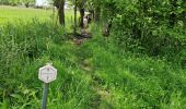 Tour Wandern Lebbeke - Wieze Vossewegelroute - Photo 1