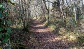 Trail Walking Sadillac - Sadillac 18,5 km - Photo 4
