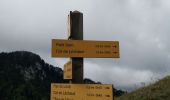 Tour Wandern Saint-Pierre-de-Chartreuse - Correrie_Col de la Ruchère_Petit Som_Col de l'Echaud_Pas du Loup - Photo 14